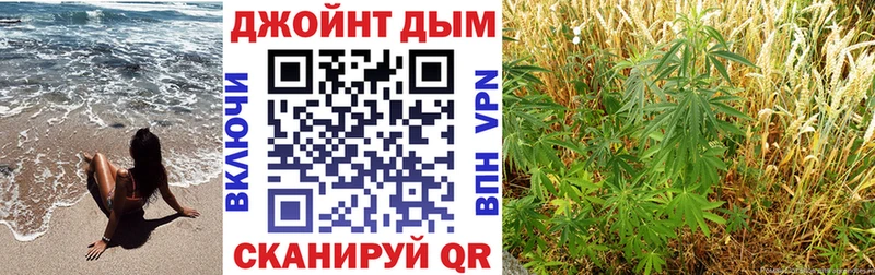 продажа наркотиков  Зуевка  Бошки марихуана гибрид 